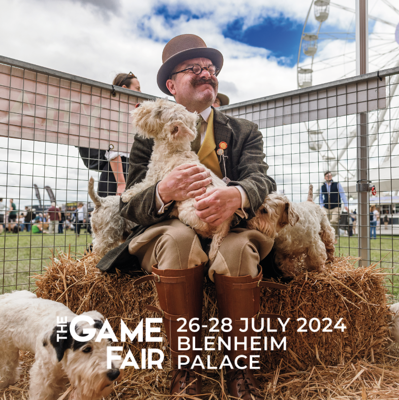 The Game Fair at Blenheim Palace Promotional Graphic
